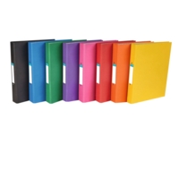 Ring Binder Purple PK10