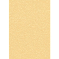 Parchment Paper 95gsm A4 Gold (100 Sheets) (PCL1600)