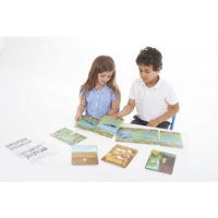 Lifecycles Game