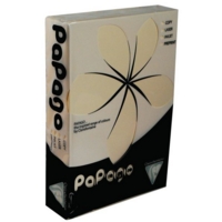 Papago A3 Copier Paper Ivory Rm