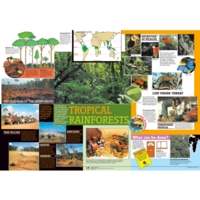 Tropical Rainforest Poster