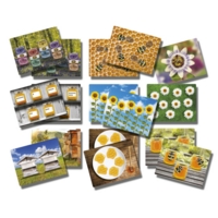 Honey Bee Number Cards