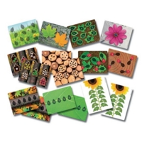 Ladybugs Early Number Cards