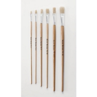Long Handle Flat Bristle Classpack