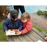 Natural Sorting Tray
