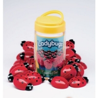 Ladybugs Counting Set