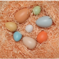 Size Sorting Eggs