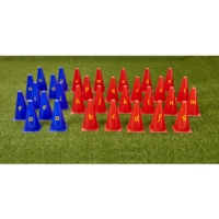 Literacy Cones