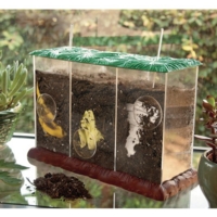See-through Compost Containers