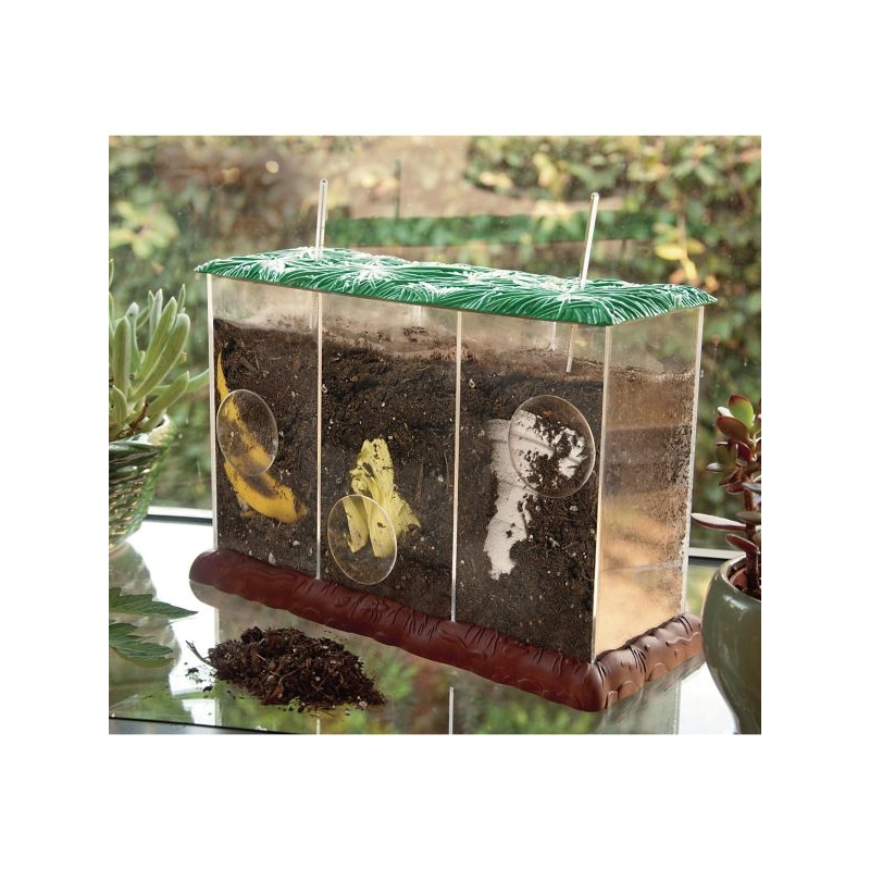See-through Compost Containers