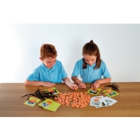 Phonics Threading Beads- Cvc