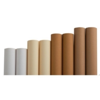 Naturals Wide Poster Paper Pack