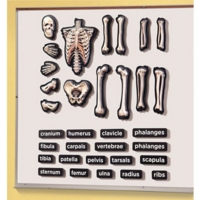 3D Magnetic Skeleton
