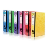 Selecta Box Files Green P10
