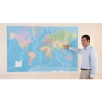 Giant World Political Map