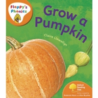 Floppys Phonics Non Fiction Stage 6