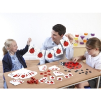 Ladybird Set