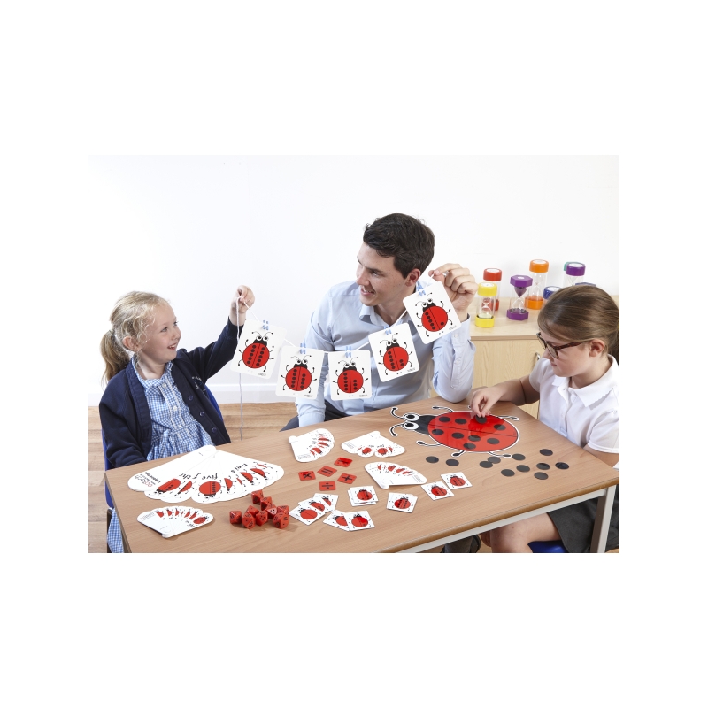Ladybird Set