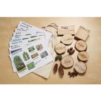 Forglen Forest Kit