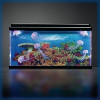 Jellyfish Tank