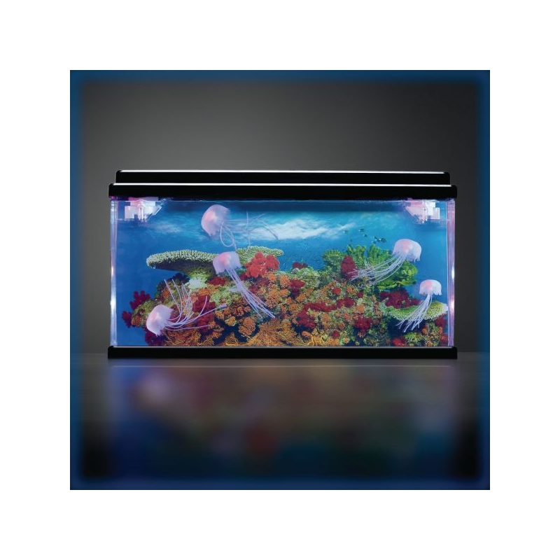 Jellyfish Tank