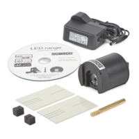 LED Light