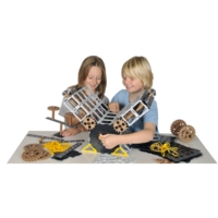 Polydron Engineering Class Set