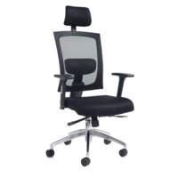 Mesh Task Chair