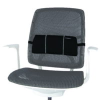 Fellowes Portable Lumbar Back Support (8042101)