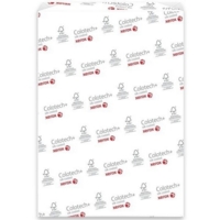 Xerox Colotech+ Silk Coated A3 420X297mm 250Gm2 SG Pack 250