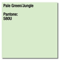 Coloraction Paper 80gsm Pale Green (Jungle) A4 Pk500
