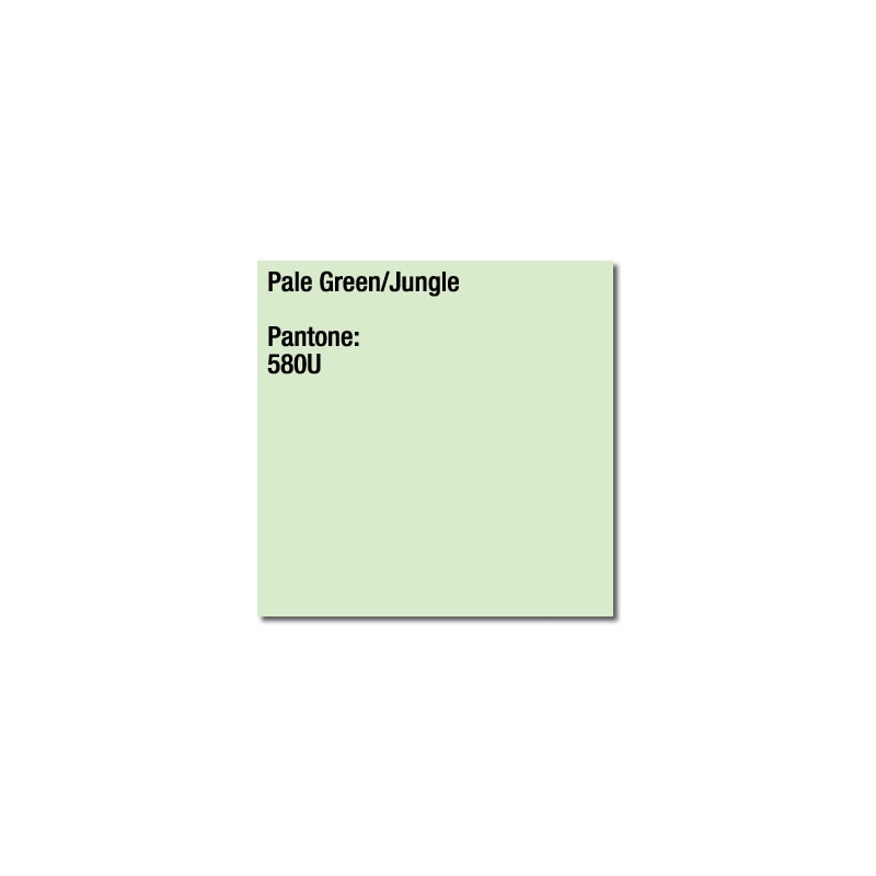Coloraction Paper 80gsm Pale Green (Jungle) A4 Pk500
