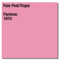 Coloraction Card 160gsm Pale Pink (Tropic) A4 Pk250