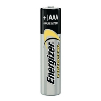 Alkaline Battery AAA LR03 P10