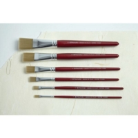 Brushes S30 Flat Set 6 Asst