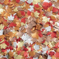 Mixed Leaf Sequins 100g Tub