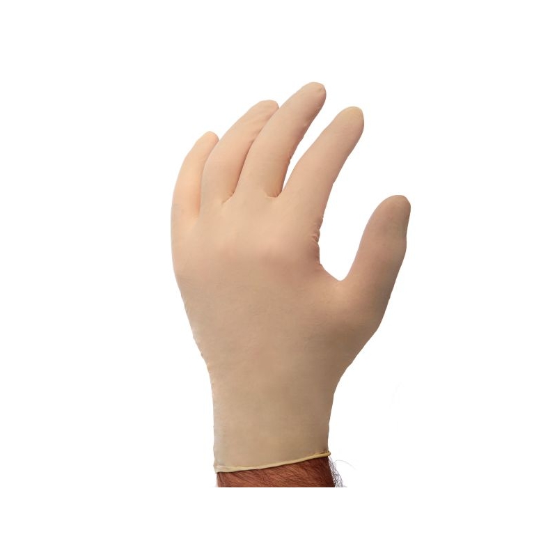 Powder Free Latex Glove Lge