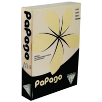 Papago A4 Copier Card Chamois P250