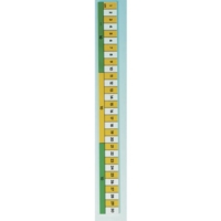Early Learning Rule 30cm P10