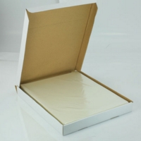 A1 Laminating Pouches 250Mic Pk25