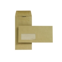 New Guardian (DL) Lightweight Pocket Self Seal Window