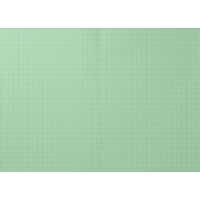 Tinted A4 Exercise Books Leaf Green 10mm Squares