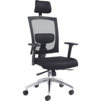 Gemini 300 Mesh Task Arm Chair Hrest Blk