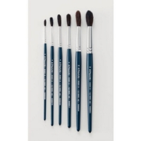 Squirrel Hair Brushes Pk60