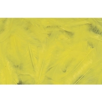 Yellow Feathers