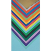 Poster Paper 510 x 760mm Peppermint - Pk 25
