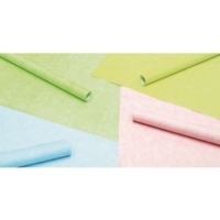 Fadeless Pastel Assortment