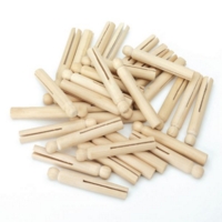 Plain Craft Pegs X 24 Pack