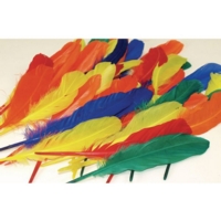 Rainbow Duck Quill Feathers X 28g