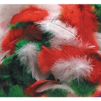 Winter Feathers